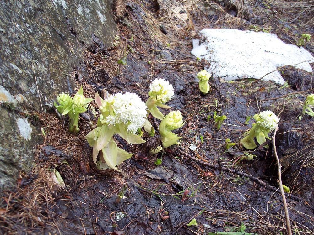 Sotto la pioggia in valle d''Aosta